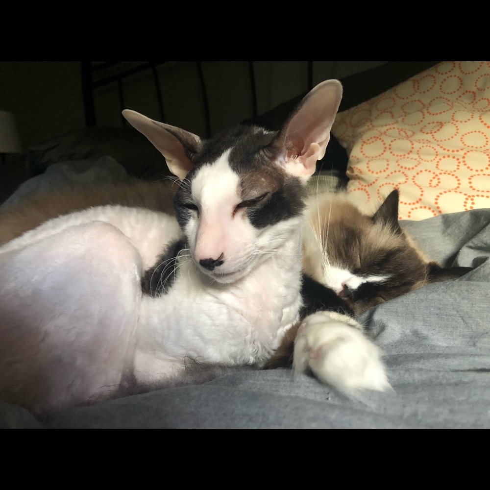 Meet your Posher, Melanie